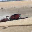 Harvester in paddock